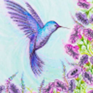 Meet your Posher, Ayan